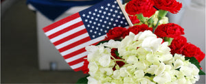 Memorial Day from Stem to Stern | Pontoon Depot